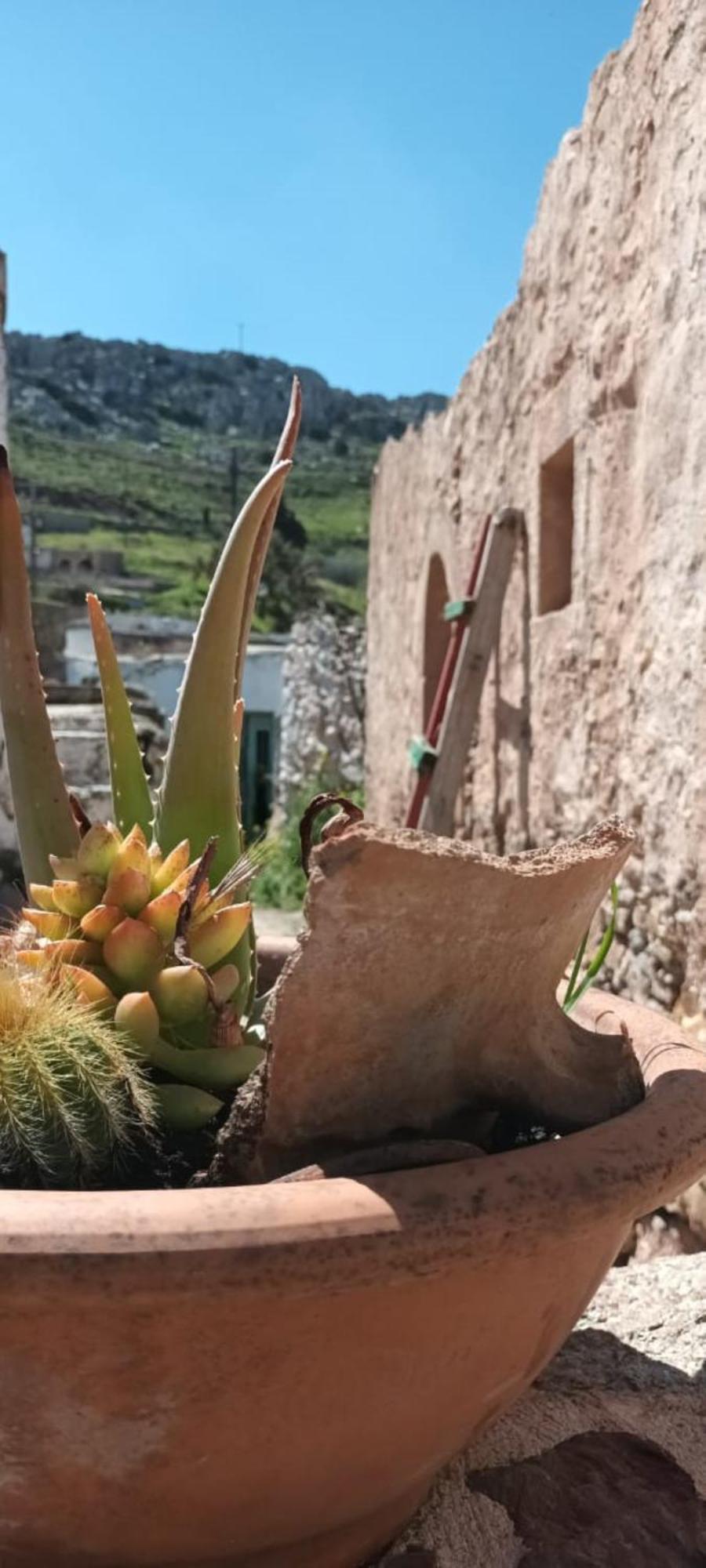 Traditional Cretan House Lithostrati Karidi Village Exterior photo